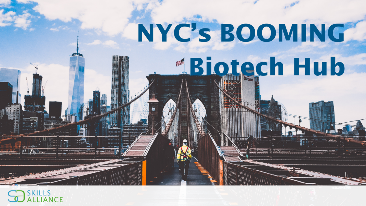 34 | Skills Alliance