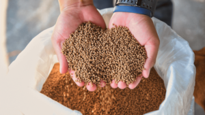 Animal feed