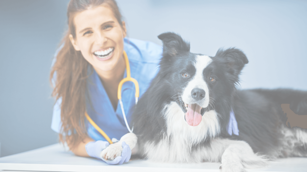 Female vet with dog