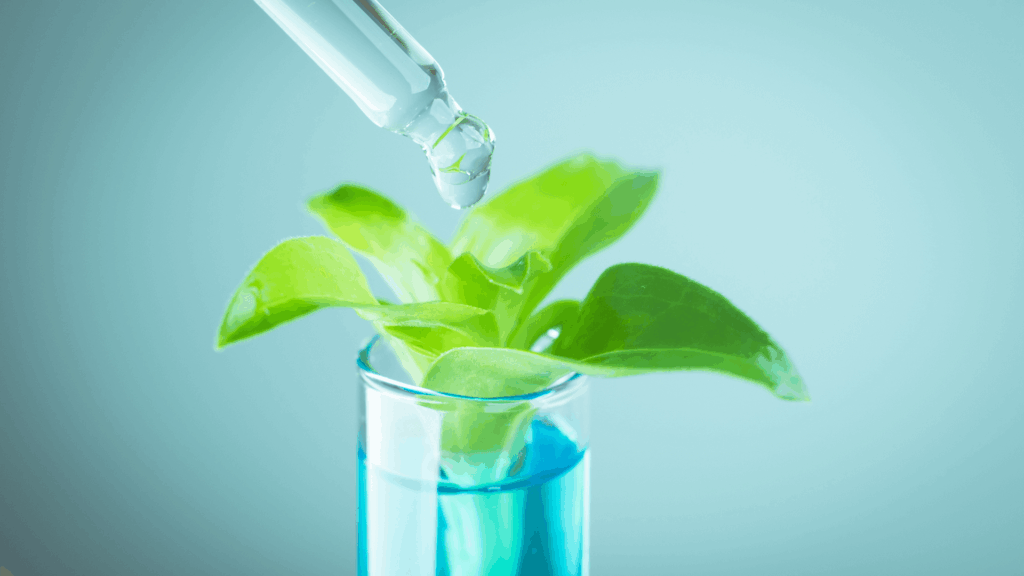 Leaf in test tube