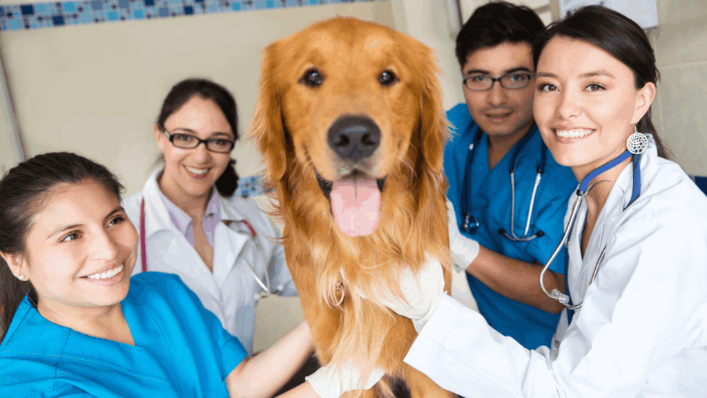 Executive search in Animal Health