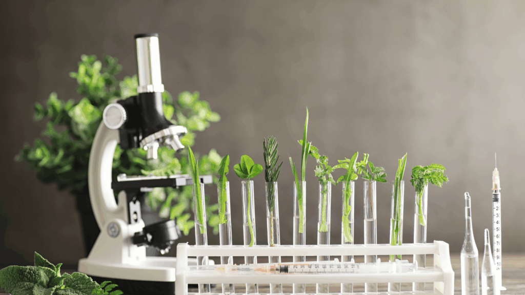 Talent gap in food and flavours