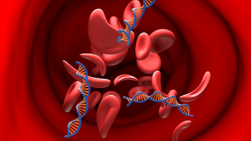 Hema-Oncology